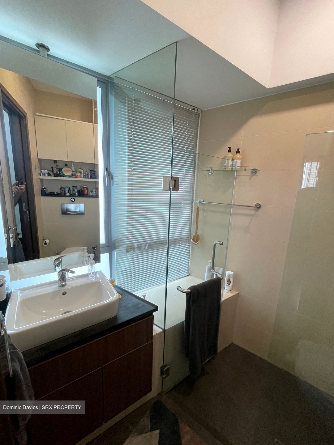 Novelis (D11), Apartment #512589801